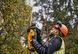Кущоріз акумуляторний DeWALT DCMHT563N