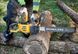 Пила ланцюгова акумуляторна DeWALT DCMCS575N XR FLEXVOLT