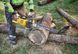 Пила ланцюгова акумуляторна DeWALT DCMCS575N XR FLEXVOLT