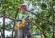 Пила ланцюгова акумуляторна DeWALT DCMCS575N XR FLEXVOLT