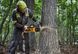 Пила ланцюгова акумуляторна DeWALT DCMCS575N XR FLEXVOLT