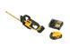 Кущоріз акумуляторний DeWALT DCMHT564P1