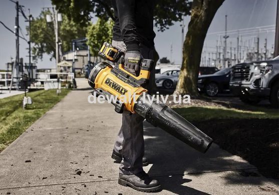 Повітродувка акумуляторна DeWALT DCMBL777X1