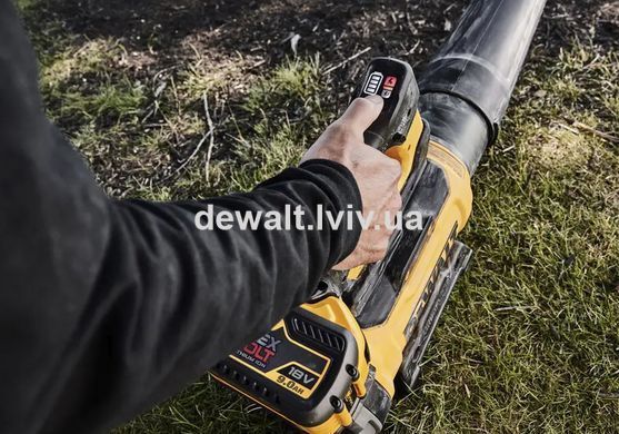 Повітродувка акумуляторна DeWALT DCMBL777X1