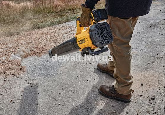 Повітродувка акумуляторна DeWALT DCMBL562N
