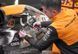 Дриль-шурупокрут акумуляторний ударний McLaren F1 TEAM LIMITED EDITION DeWALT DCD85MP2T